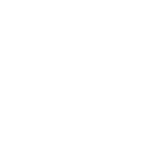 Automated Customer Support