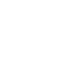 Strong Technology Competency