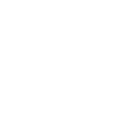 Flexible Engagement Models