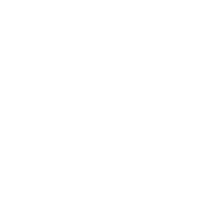 Flexible Engagement Models